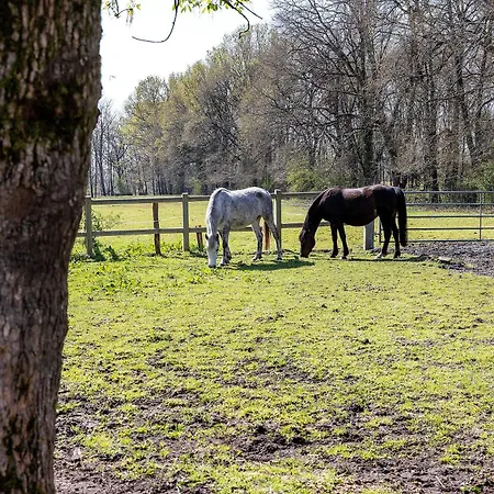 Nyaraló La Maison Des Poneys