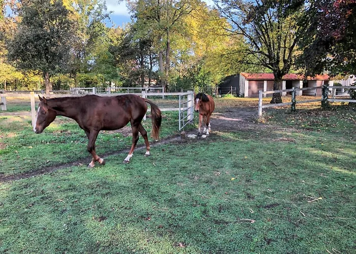 La Maison Des Poneys Feriehus
